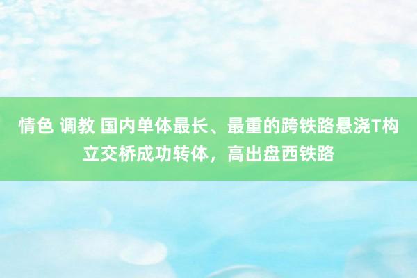 情色 调教 国内单体最长、最重的跨铁路悬浇T构立交桥成功转体，高出盘西铁路