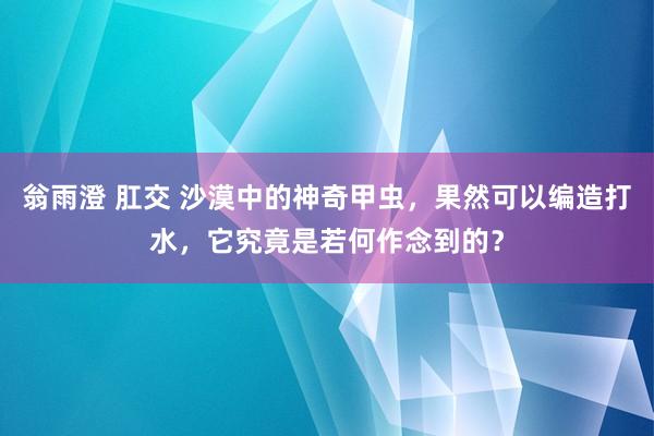 翁雨澄 肛交 沙漠中的神奇甲虫，果然可以编造打水，它究竟是若何作念到的？