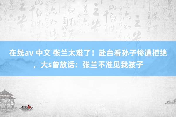 在线av 中文 张兰太难了！赴台看孙子惨遭拒绝，大s曾放话：张兰不准见我孩子