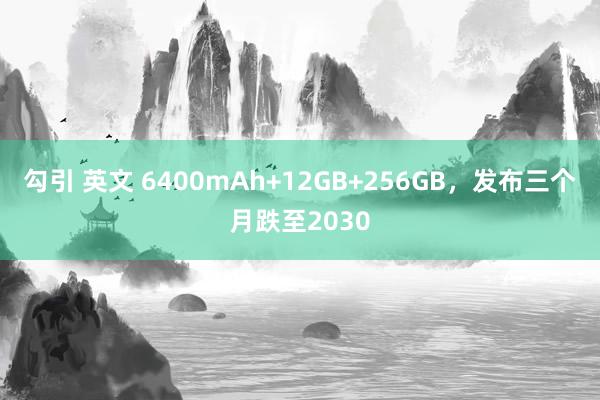 勾引 英文 6400mAh+12GB+256GB，发布三个月跌至2030