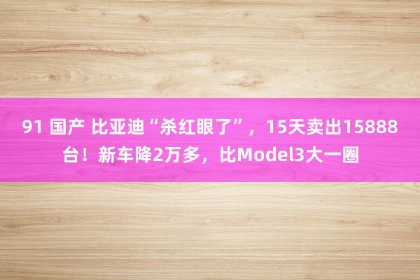 91 国产 比亚迪“杀红眼了”，15天卖出15888台！新车降2万多，比Model3大一圈