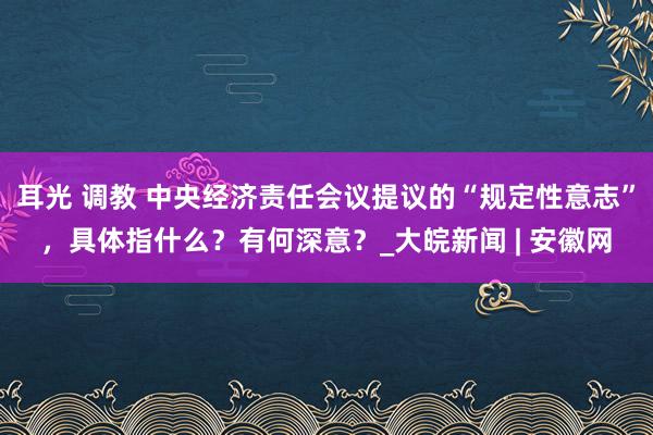 耳光 调教 中央经济责任会议提议的“规定性意志”，具体指什么？有何深意？_大皖新闻 | 安徽网