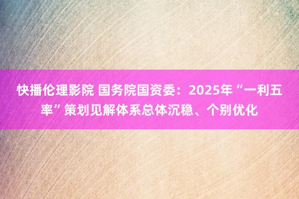 快播伦理影院 国务院国资委：2025年“一利五率”策划见解体系总体沉稳、个别优化