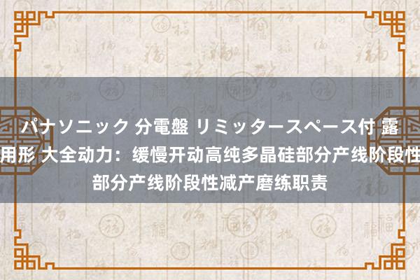 パナソニック 分電盤 リミッタースペース付 露出・半埋込両用形 大全动力：缓慢开动高纯多晶硅部分产线阶段性减产磨练职责