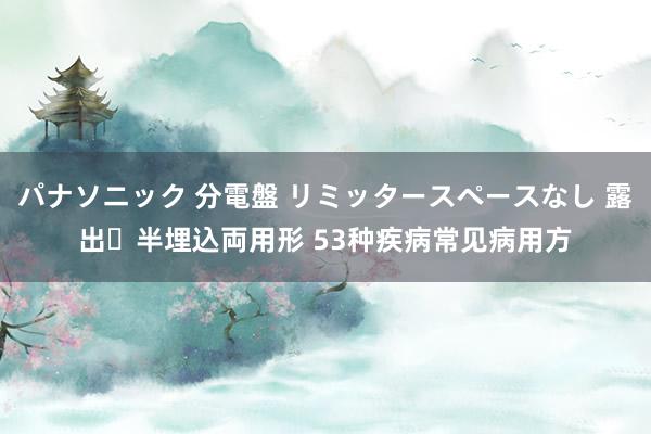 パナソニック 分電盤 リミッタースペースなし 露出・半埋込両用形 53种疾病常见病用方