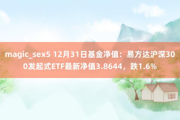 magic_sex5 12月31日基金净值：易方达沪深300发起式ETF最新净值3.8644，跌1.6%