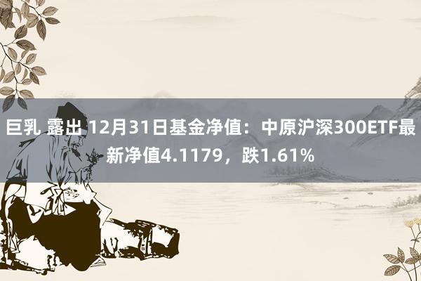 巨乳 露出 12月31日基金净值：中原沪深300ETF最新净值4.1179，跌1.61%