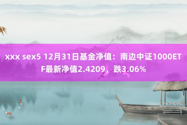 xxx sex5 12月31日基金净值：南边中证1000ETF最新净值2.4209，跌3.06%