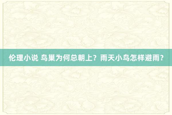 伦理小说 鸟巢为何总朝上？雨天小鸟怎样避雨？