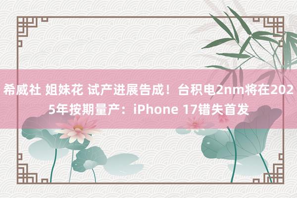 希威社 姐妹花 试产进展告成！台积电2nm将在2025年按期量产：iPhone 17错失首发