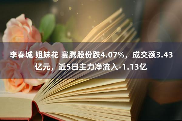 李春城 姐妹花 赛腾股份跌4.07%，成交额3.43亿元，近5日主力净流入-1.13亿