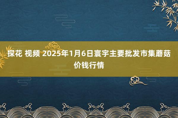 探花 视频 2025年1月6日寰宇主要批发市集蘑菇价钱行情