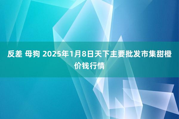 反差 母狗 2025年1月8日天下主要批发市集甜橙价钱行情