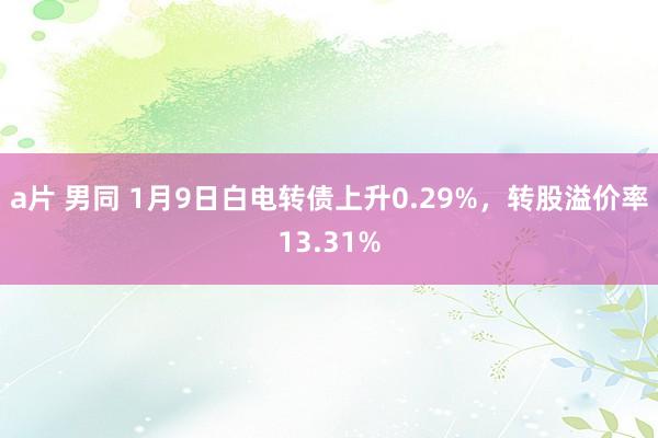 a片 男同 1月9日白电转债上升0.29%，转股溢价率13.31%