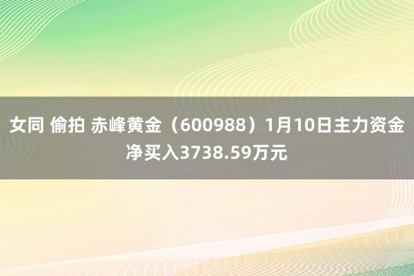 女同 偷拍 赤峰黄金（600988）1月10日主力资金净买入3738.59万元