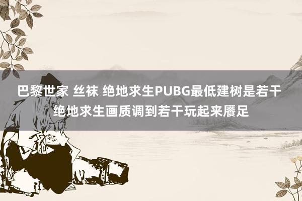 巴黎世家 丝袜 绝地求生PUBG最低建树是若干 绝地求生画质调到若干玩起来餍足