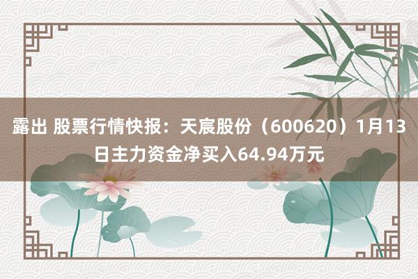 露出 股票行情快报：天宸股份（600620）1月13日主力资金净买入64.94万元