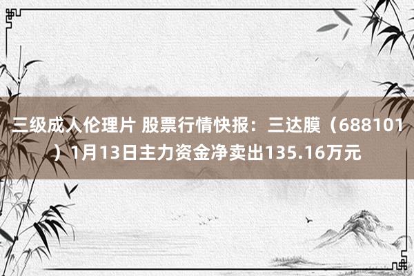 三级成人伦理片 股票行情快报：三达膜（688101）1月13日主力资金净卖出135.16万元