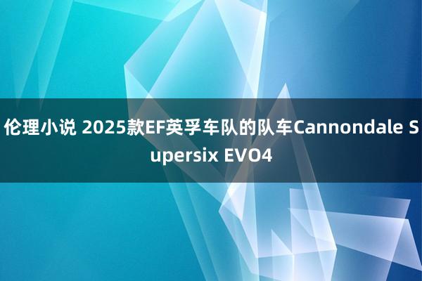 伦理小说 2025款EF英孚车队的队车Cannondale Supersix EVO4