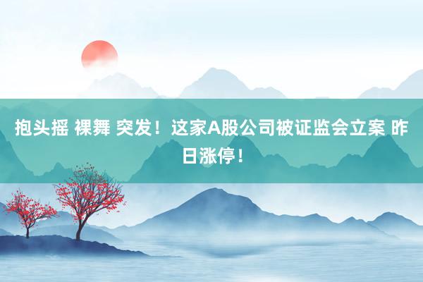 抱头摇 裸舞 突发！这家A股公司被证监会立案 昨日涨停！