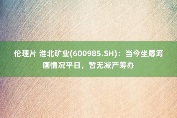 伦理片 淮北矿业(600985.SH)：当今坐蓐筹画情况平日，暂无减产筹办