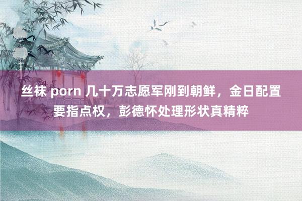 丝袜 porn 几十万志愿军刚到朝鲜，金日配置要指点权，彭德怀处理形状真精粹