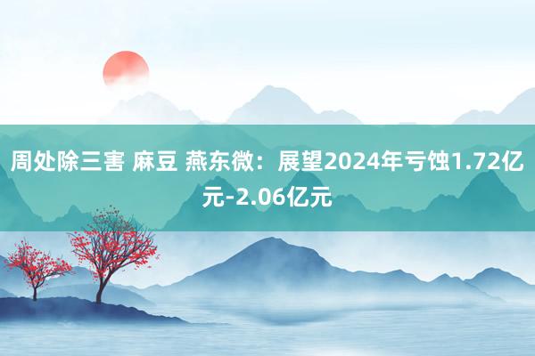 周处除三害 麻豆 燕东微：展望2024年亏蚀1.72亿元-2.06亿元