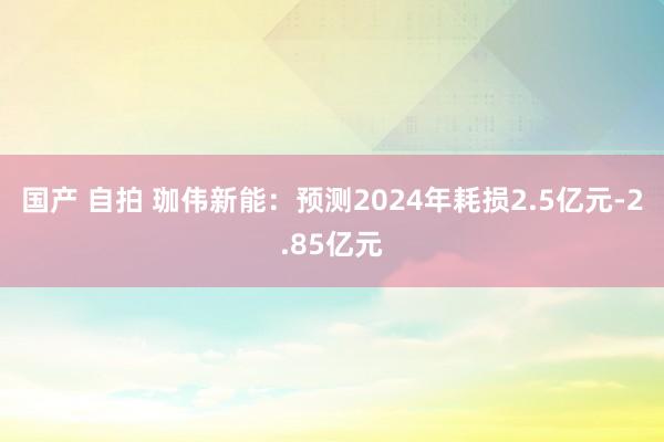 国产 自拍 珈伟新能：预测2024年耗损2.5亿元-2.85亿元