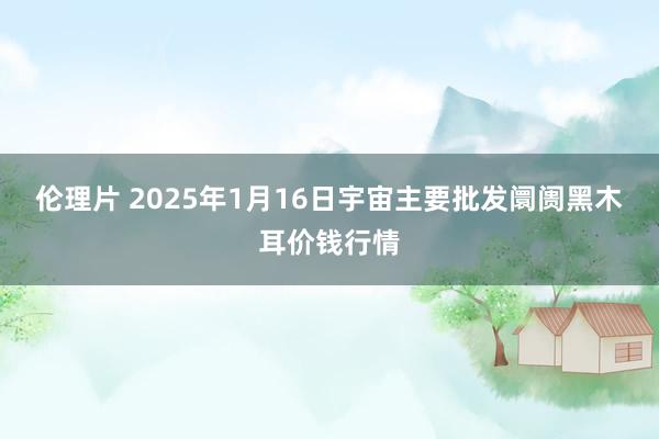 伦理片 2025年1月16日宇宙主要批发阛阓黑木耳价钱行情