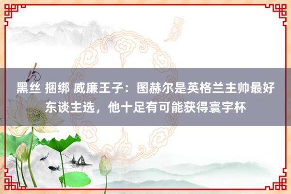 黑丝 捆绑 威廉王子：图赫尔是英格兰主帅最好东谈主选，他十足有可能获得寰宇杯